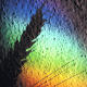 wheat_rainbow
