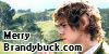 MerryBrandybuck.com