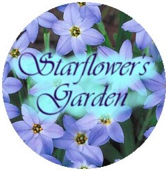 Starflower's Garden